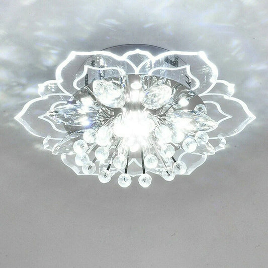 Modern LED Ceiling Light