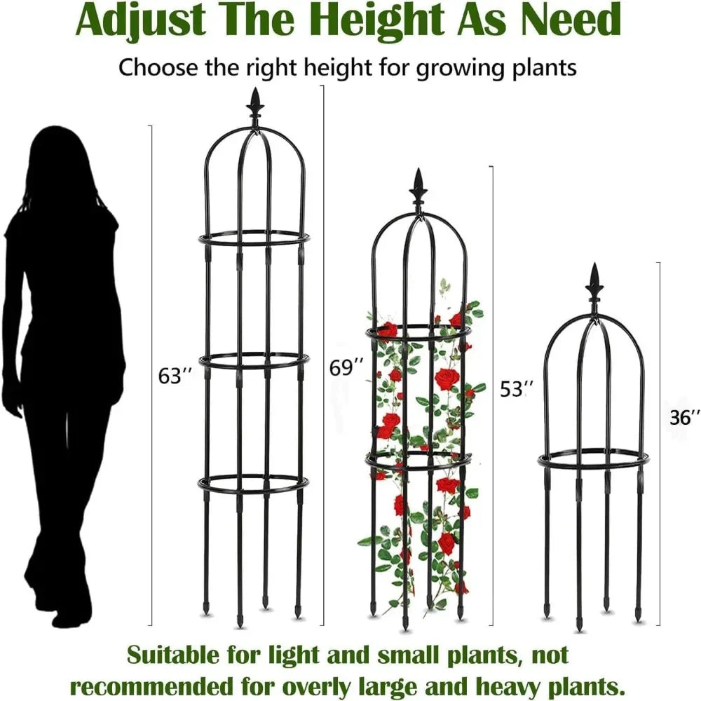 Plant Trellis Support