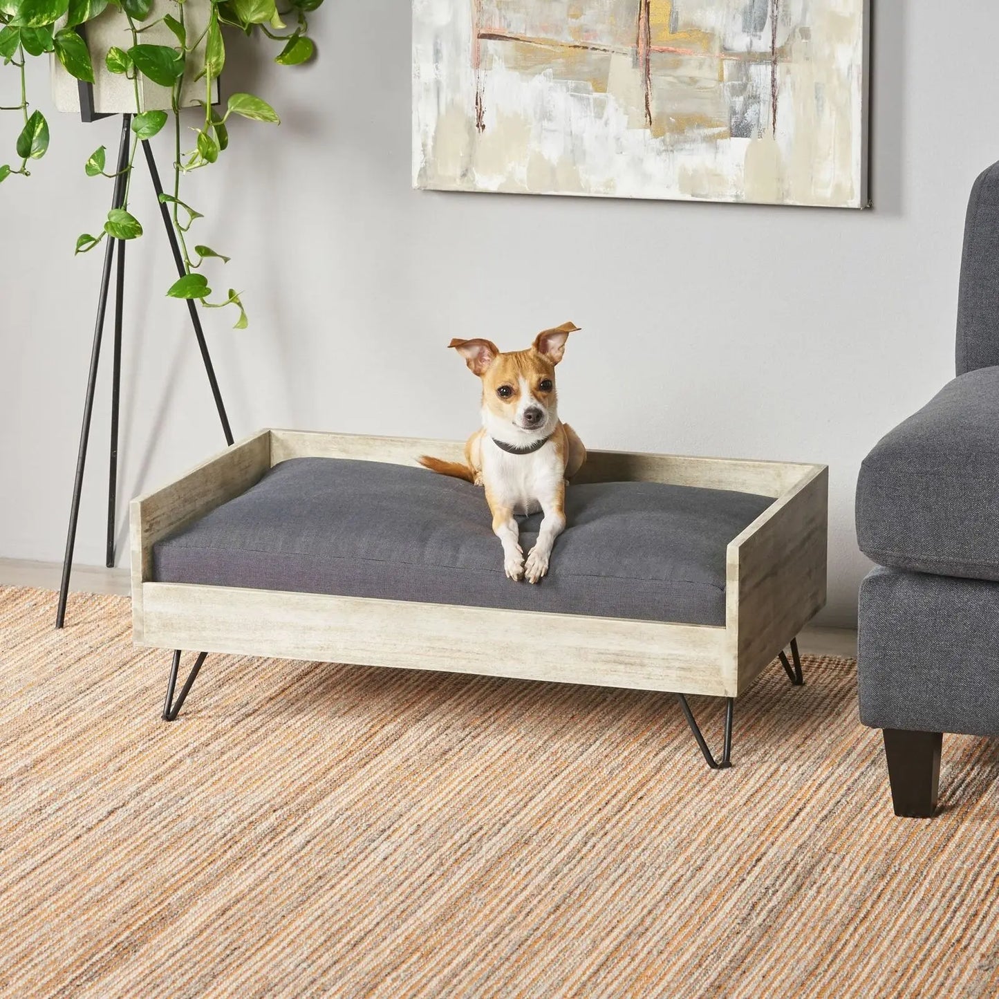 Cushioned Wood Frame Dog Bed