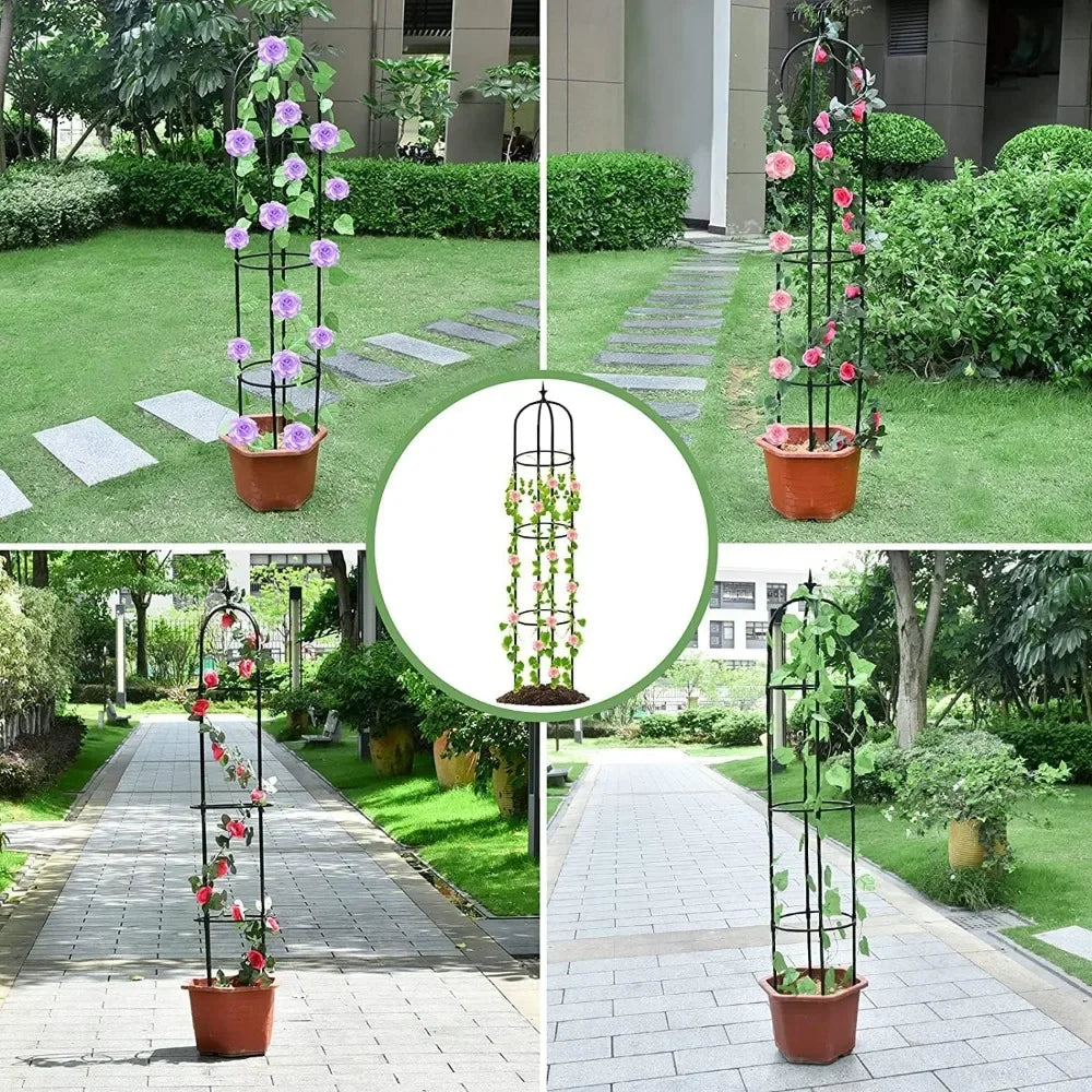 Plant Trellis Support