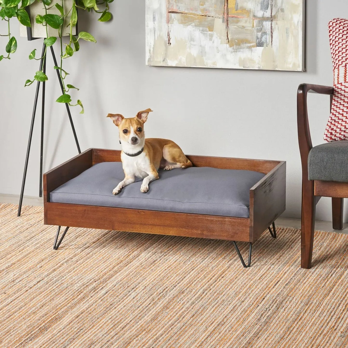 Cushioned Wood Frame Dog Bed