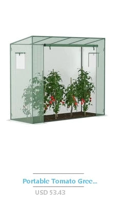 Large Walk-in Greenhouse