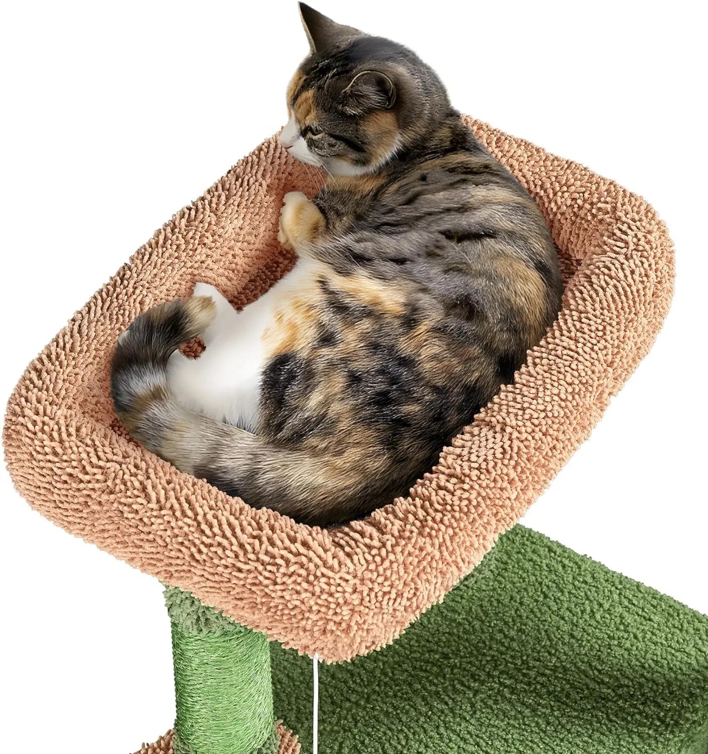 Cactus Cat Tree and more